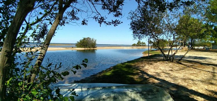 Lac de Cazaux et de Sanguinet : où camper à proximité ?