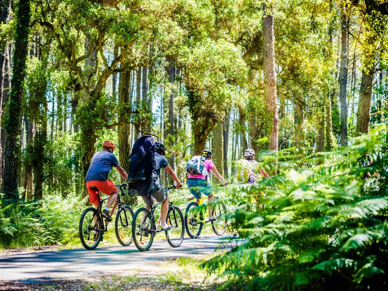 Partez en famille à la découverte des Landes